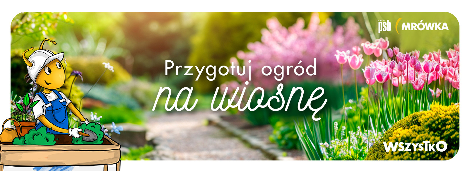 Grupa PSB mrowka Wyszków