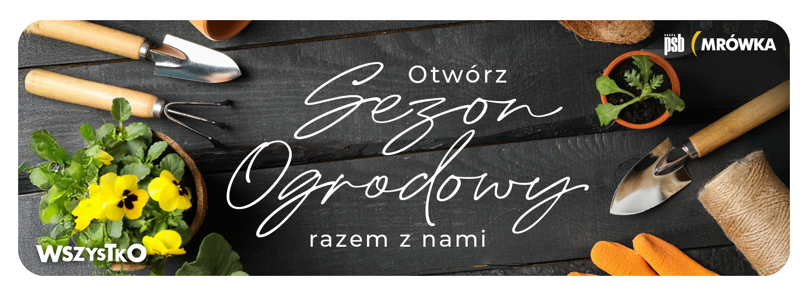 Grupa PSB mrowka Wyszków