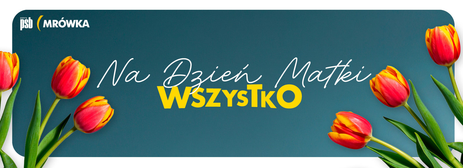 Grupa PSB mrowka Wyszków